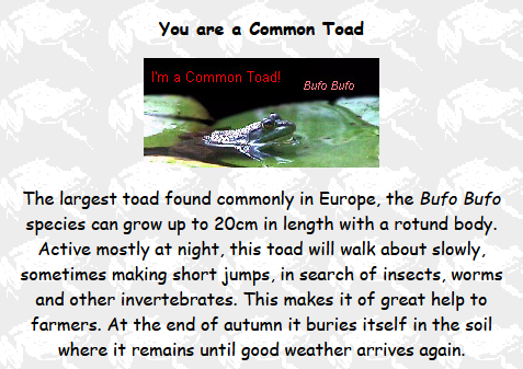 What Kind Of Frog Are YOU?